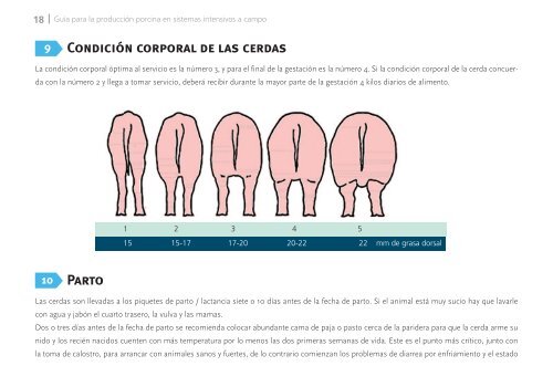 Manual de cerdos final SAAYA.pdf - sisman