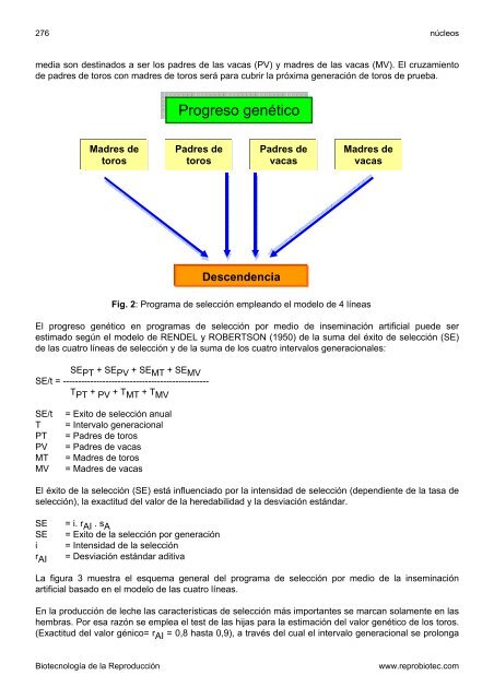 Toros Registro de pedigree Rodeo puro por cruza y ... - Reprobiotec