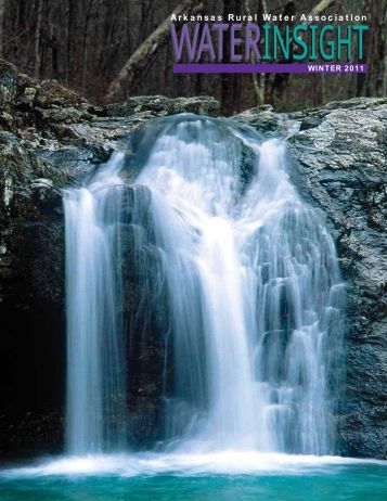 download americas environmental report