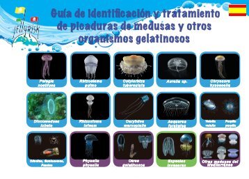 26.Jellyfish Guide 2014 - Spain (spanish)