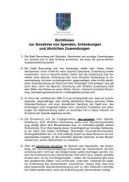 Richtlinie zur Annahme von Spenden ... - Stadt Rauenberg