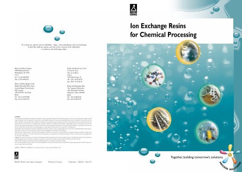 Ion Exchange Resins for Chemical Processing