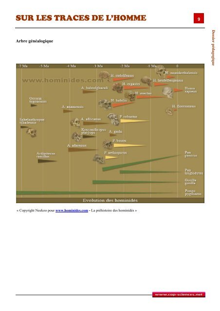 sur les traces de l'homme - Cap Sciences