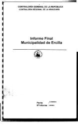 Informe Final Municipalidad de Ercilla