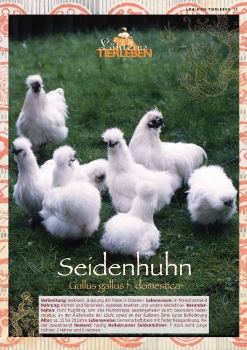Seidenhuhn - Tierparkfreunde Hellabrunn eV
