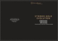 EN-Strider-Gold-Evo - SilverStone