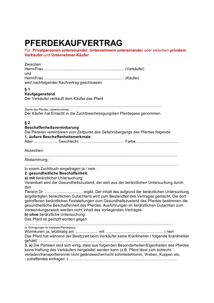 Pferdekaufvertrag Magazine
