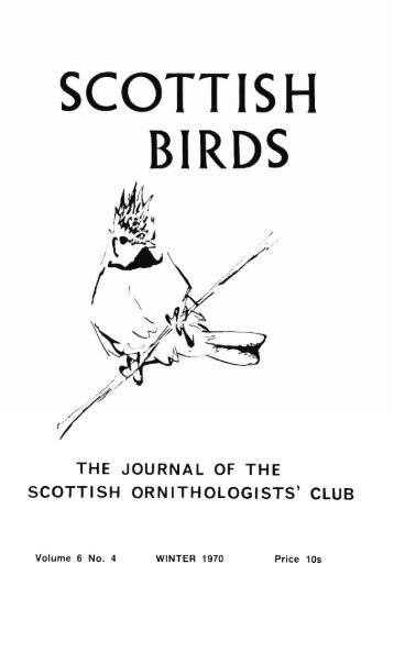 SCOTTISH BIRDS - The Scottish Ornithologists' Club