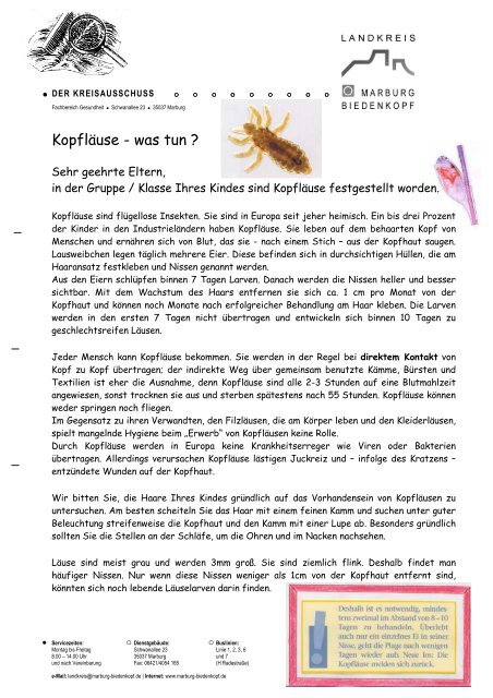 La Use Elternbrief Marburg Waldkindergarten