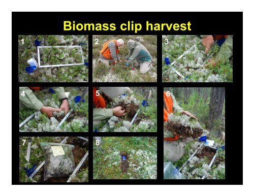 Lecture 3: Vegetation Sampling - Alaska Geobotany Center