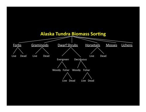 Lecture 3: Vegetation Sampling - Alaska Geobotany Center