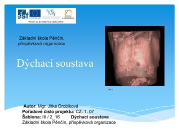 DÃ½chacÃ­ soustava - ZÃ¡kladnÃ­ Å¡kola PÄnÄÃ­n