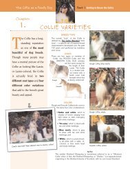 Varieties - Collie Club of America