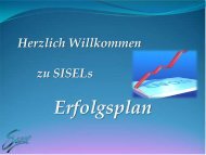 Der SISEL Erfolgsplan