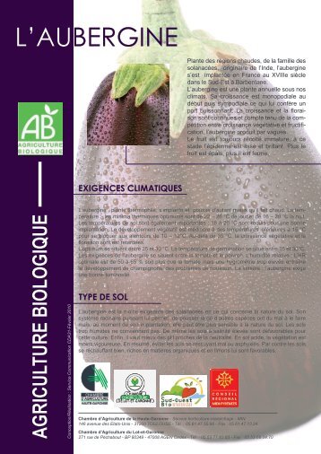 L'AUBERGINE