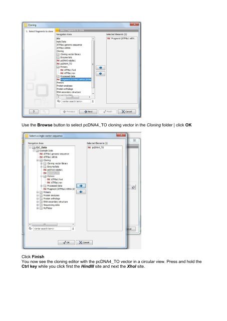 In silico cloning - Bits.vib.be