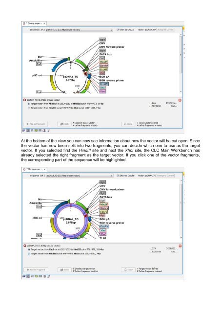 In silico cloning - Bits.vib.be