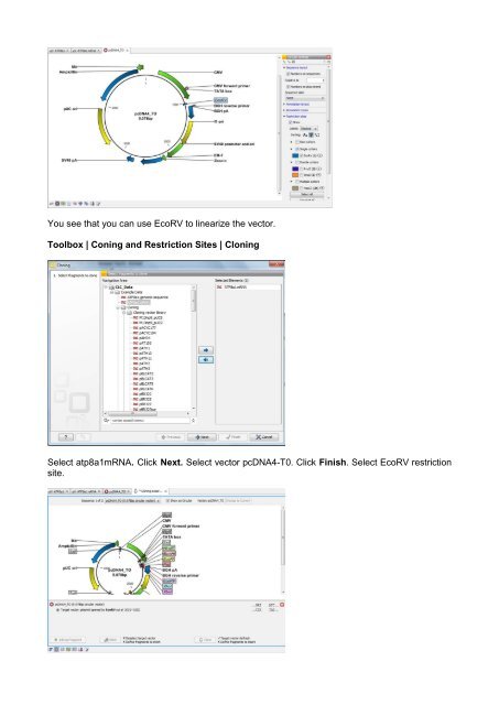 In silico cloning - Bits.vib.be