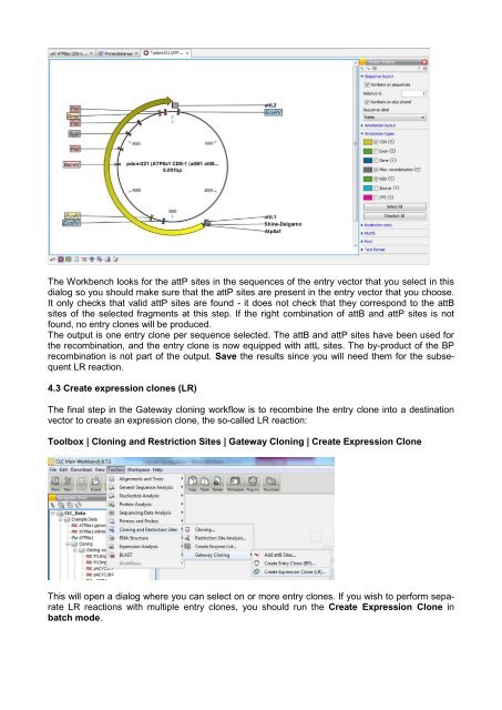 In silico cloning - Bits.vib.be