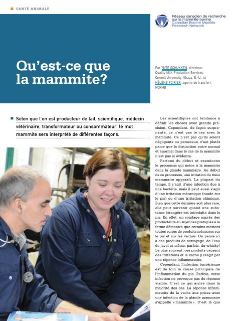 Qu'est-ce que la mammite?