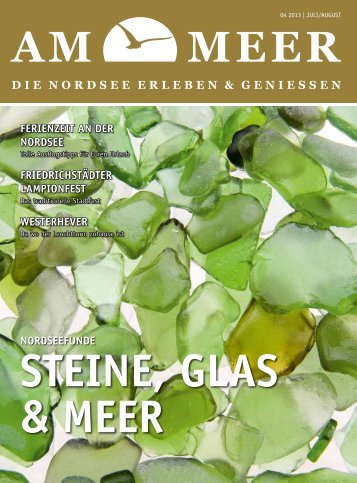 PDF Download - AM-MEER-online