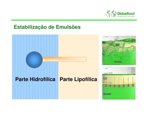 Palestra Murilo Pires - Globalfood