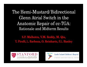 The Hemi-Mustard/Bidirectional Glenn Atrial Switch in the Anatomic ...