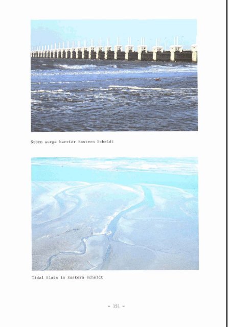 Hydro-ecological relations in the Delta Waters