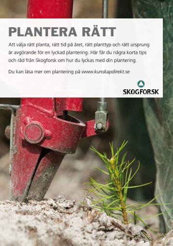 PLANTERA RÃTT - Skogforsk