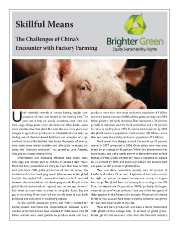 Skillful Means: The Challenges of China's ... - Brighter Green