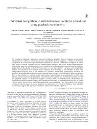 Individual recognition in wild bottlenose dolphins - College of ...