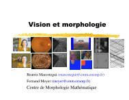 Vision et morphologie - Centre de Morphologie MathÃ©matique