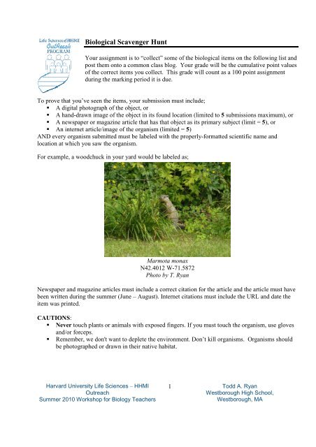 Biological Scavenger Hunt - Life Sciences Outreach Program ...