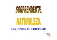 LOS GENIOS DE CAMUFLAJE - NATURALMENTE Scienza