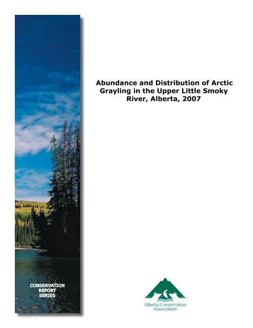 Abundance and Distribution of Arctic Grayling in the Upper Little ...