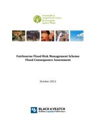 Fairbourne Flood Risk Management Scheme Flood Consequence ...
