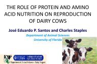 The Role of Protein and Amino Acid Nutrition in ... - Adisseo.biz