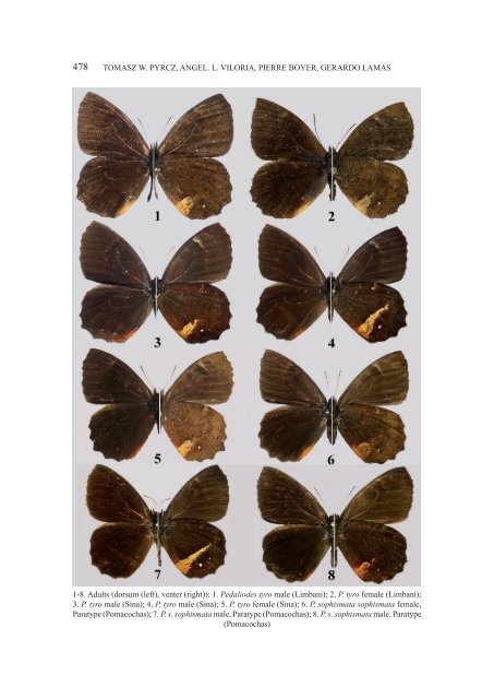 Systematics, bionomics and zoogeography of high Andean ...