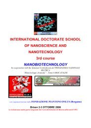 INTERNATIONAL DOCTORATE SCHOOL OF NANOSCIENCE AND NANOTECNOLOGY ...