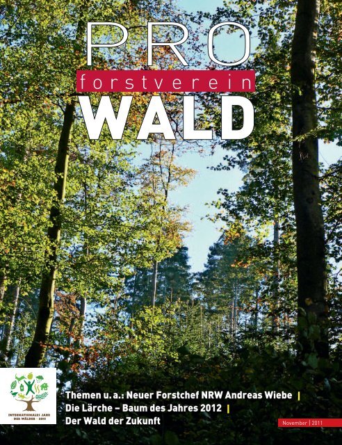 der Wald der Zukunft - Deutscher Forstverein