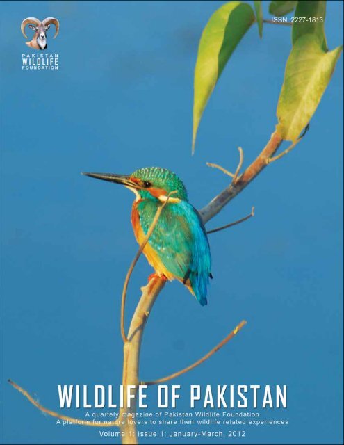 (Magazine) Volume 1 Issue 1 - Pakistan Wildlife Foundation