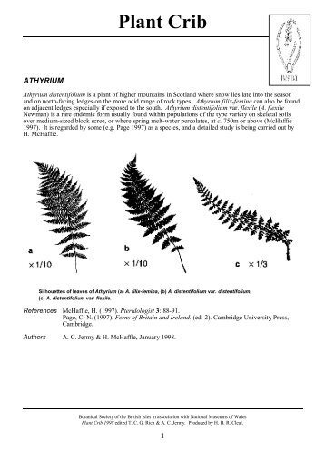 Athyrium - Botanical Society of the British Isles