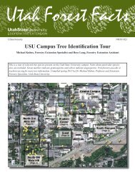 USU Campus Tree Identification Tour - Forestry - Utah State University