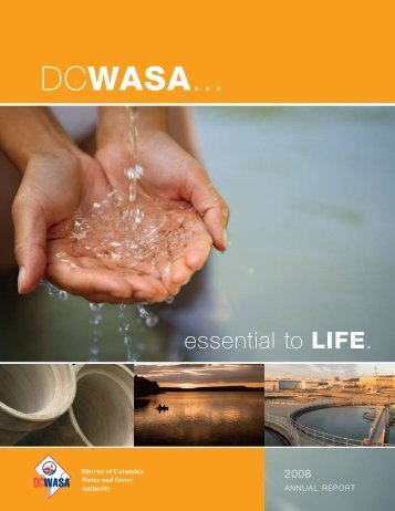 2008 Annual Report - DC Water