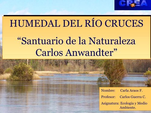 Santuario de la Naturaleza - Humedal del RÃ­o las Cruces
