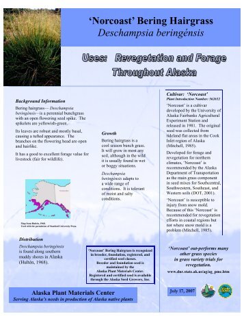 'Norcoast' Bering hairgrass - Alaska Plant Materials Center - State of ...