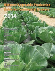 Midwest Vegetable Production Guide - Purdue University Botany ...