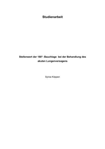 Studienarbeit - Steinbeis-Transfer-Institut