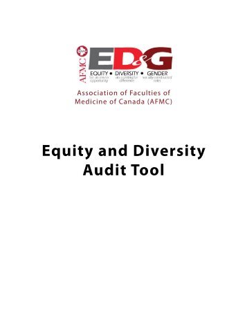 Equity and Diversity Audit Tool - HighRoad Solution