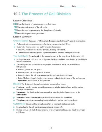 Worksheets Cell Growth And Division Worksheet collection of cell growth and division worksheet sharebrowse mitosis answers